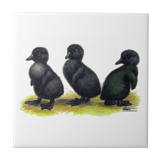 Ducklings Black Cayuga Tile (Front)