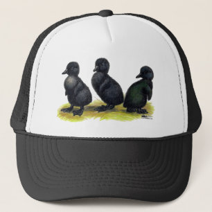 Ducklings Black Cayuga Trucker Hat