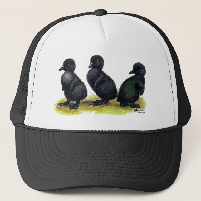 Ducklings Black Cayuga Trucker Hat (Front)