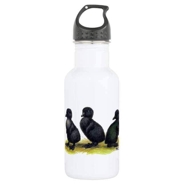 Ducklings Black Cayuga Water Bottle (Front)