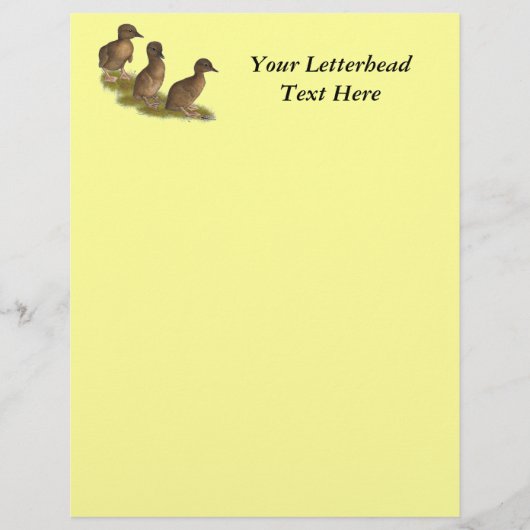 Ducklings: Chocolate Runners (Front)