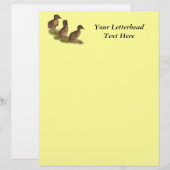 Ducklings: Chocolate Runners (Front/Back)
