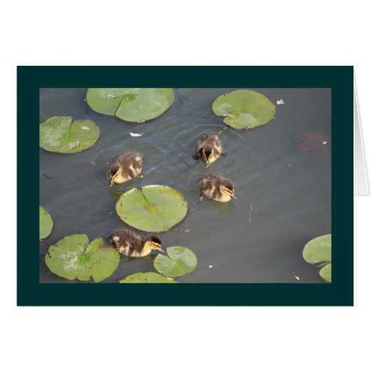 Ducklings Greeting Card (Front Horizontal)