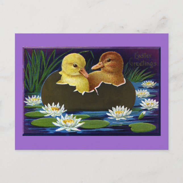 Ducklings in Eggshell Boat with Water Lilies Postcard (Front)