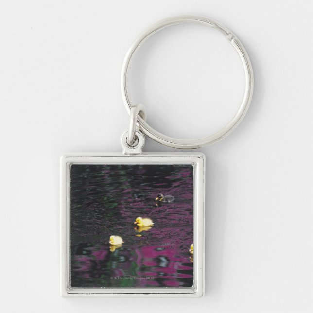 ducklings keychain (Front)