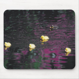 ducklings mouse pad