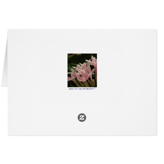 Ducklings "Thanks, Mom" Mother's Day Card (Back Horizontal)