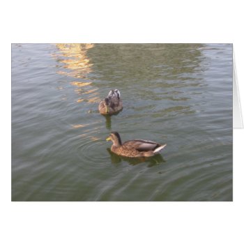Ducks by DonnaGrayson at Zazzle