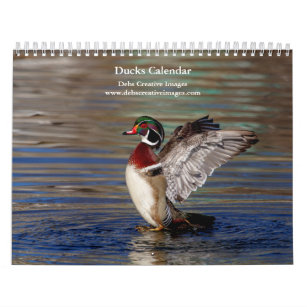 Ducks 2024 calendar
