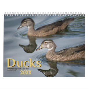 Ducks 20XX Calendar