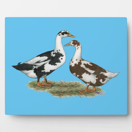 Ducks Ancona Pair Plaque