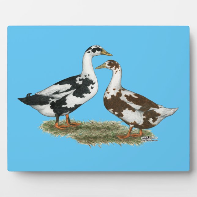 Ducks Ancona Pair Plaque (Front)