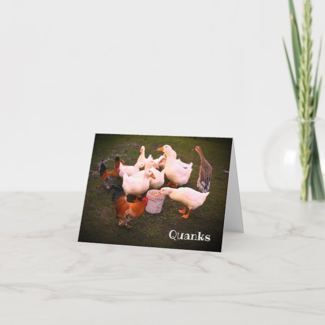 Ducks and Chickens Eating Funny  Thank You Card (Front)