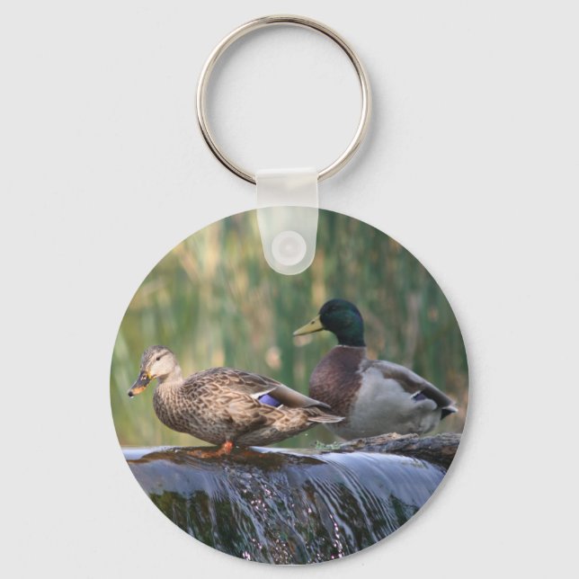 ducks at the falls keychain (Front)
