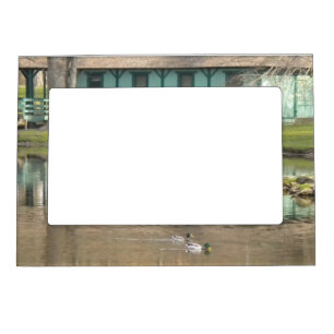 Ducks At The Pond Photo Magnet Frame