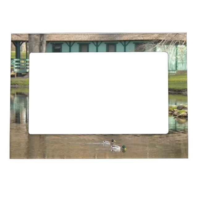 Ducks At The Pond Photo Magnet Frame (Front)