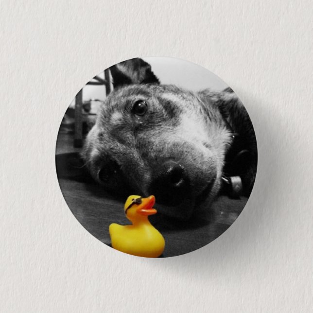 'Ducks Best Friend' Rubber Duck Button (small) (Front)