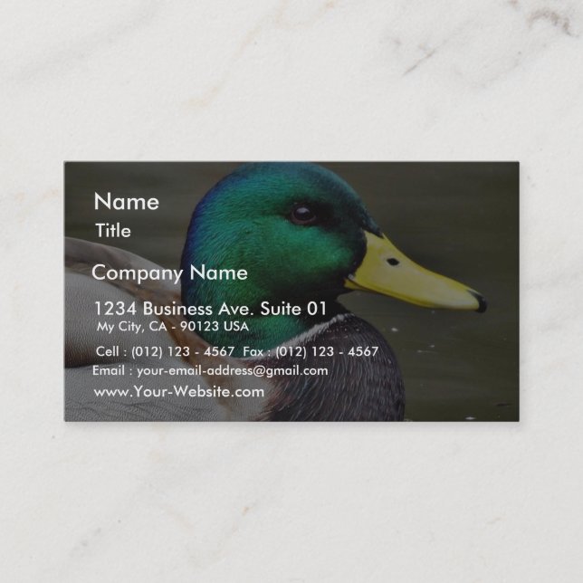 Ducks Bills Business Card (Front)