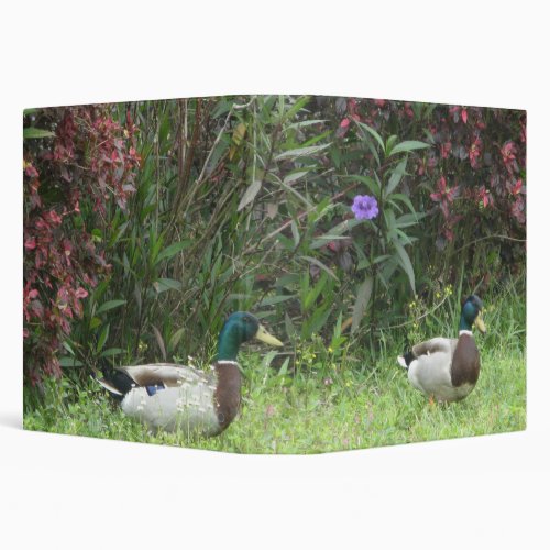 Ducks Bird Mallard 3 Ring Binder