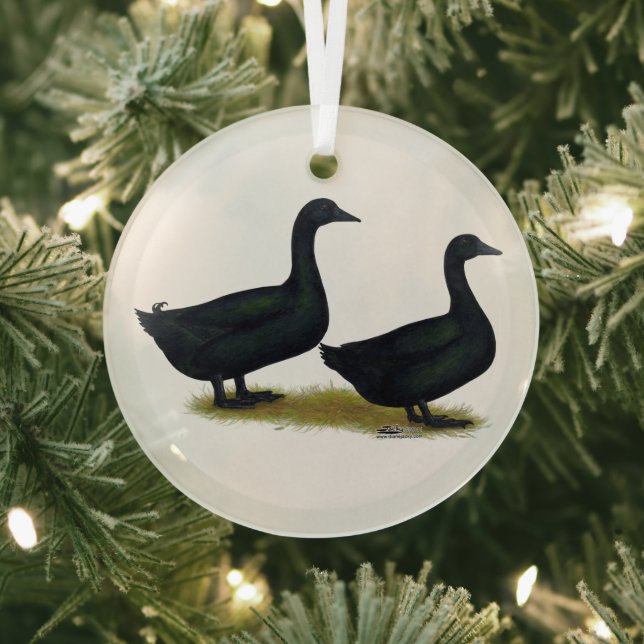 Ducks:  Black Cayugas Glass Ornament (Insitu)