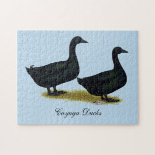 Ducks: Black Cayugas Jigsaw Puzzle