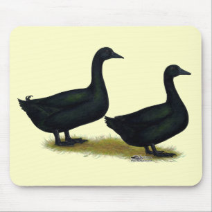 Ducks:  Black Cayugas Mouse Pad