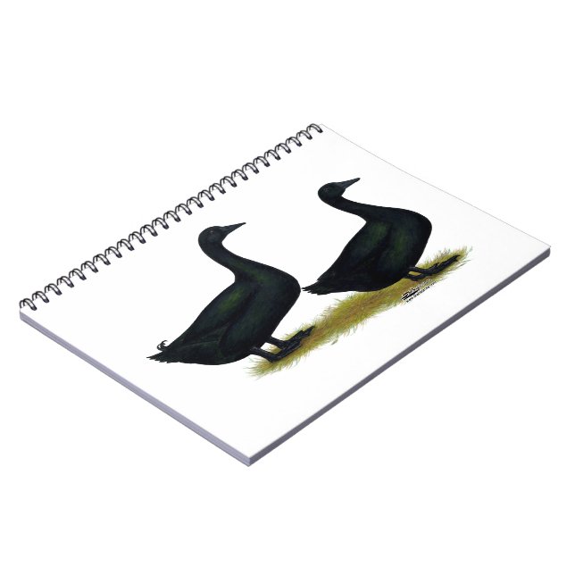 Ducks:  Black Cayugas Notebook (Left Side)