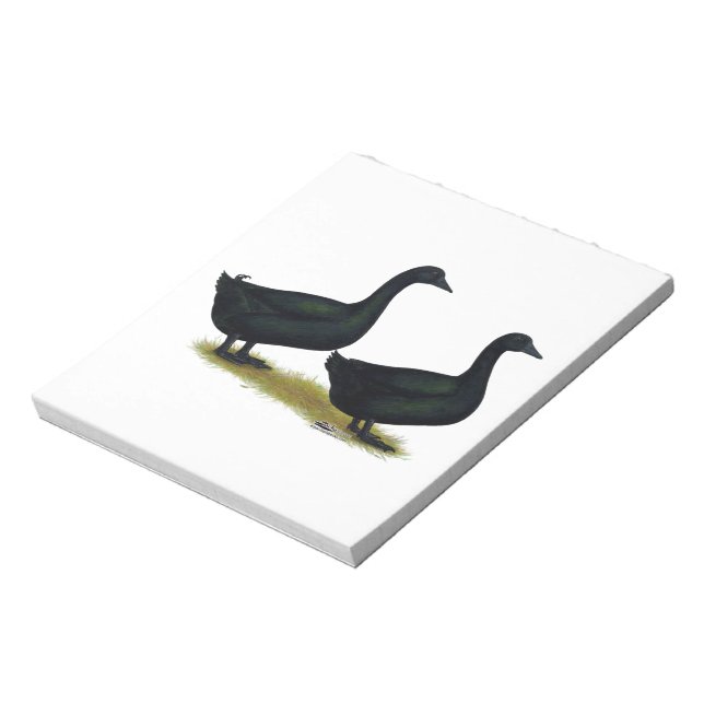 Ducks:  Black Cayugas Notepad (Rotated)