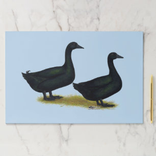 Ducks:  Black Cayugas Paper Pad