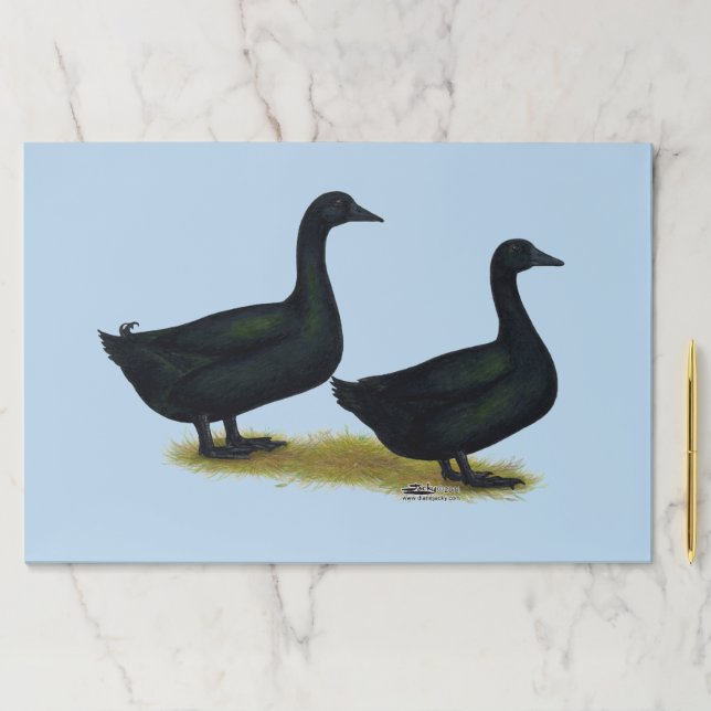 Ducks:  Black Cayugas Paper Pad (Insitu)