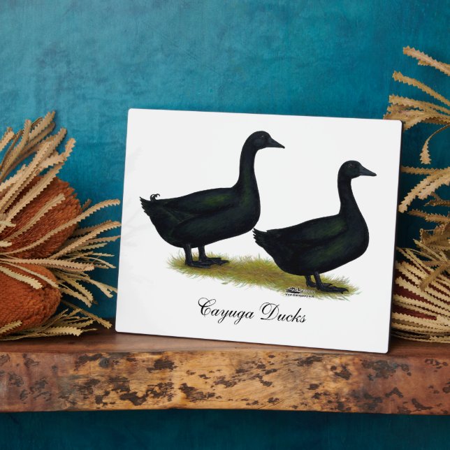 Ducks:  Black Cayugas Plaque (Side)