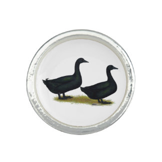 Ducks:  Black Cayugas Ring