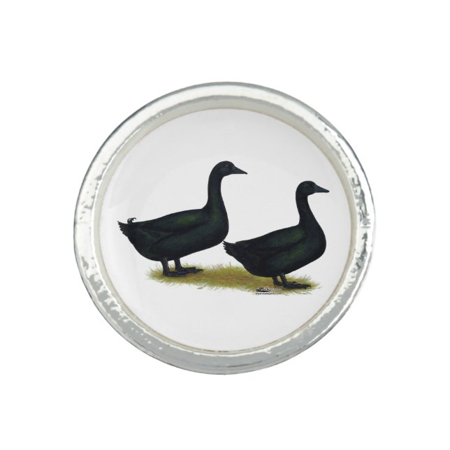 Ducks:  Black Cayugas Ring (Front)