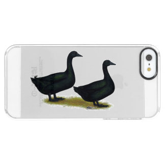 Ducks: Black Cayugas Clear iPhone SE/5/5s Case