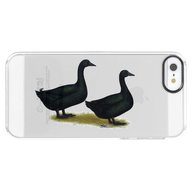 Ducks:  Black Cayugas Uncommon iPhone Case (Back Horizontal)