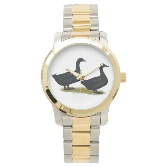 Ducks:  Black Cayugas Watch (Front)