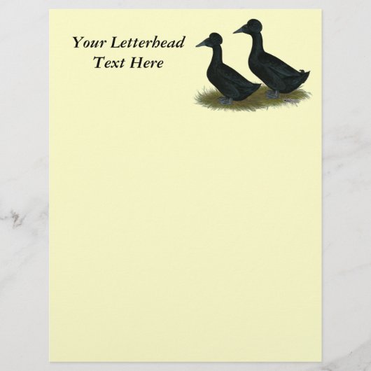 Ducks: Black Crested (Front)