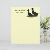 Ducks: Black Crested (Standing Front)