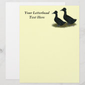 Ducks: Black Crested (Front/Back)