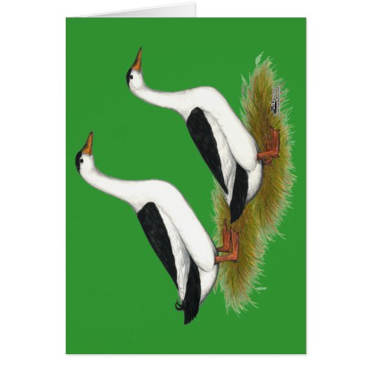 Ducks: Black Magpies Cards (Front)