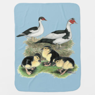 Ducks Black Pied Muscovy Family Swaddle Blanket