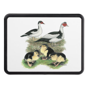 Ducks Black Pied Muscovy Family Tow Hitch Cover