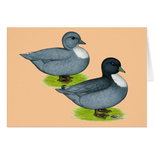 Ducks: Blue Calls Cards (Front Horizontal)