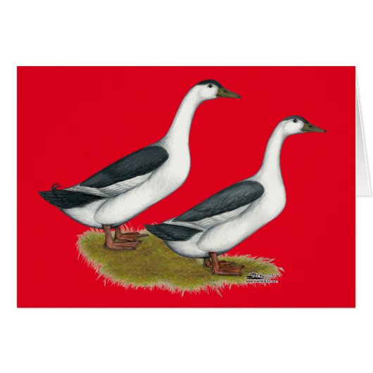 Ducks: Blue Magpies Cards (Front Horizontal)