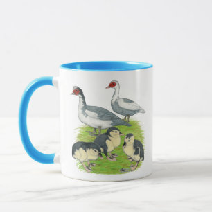Ducks Blue Pied Muscovy Family Mug