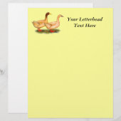Ducks: Buff Orpington (Front/Back)