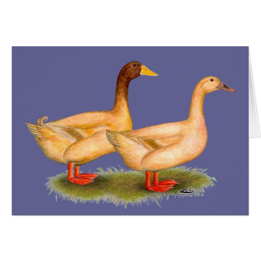 Ducks: Buff Orpington Cards (Front Horizontal)