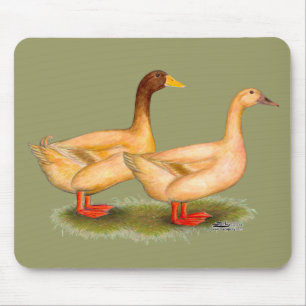 Ducks:  Buff Orpington Mouse Pad