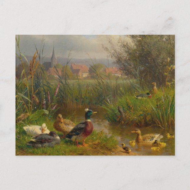 Ducks by Carl Jutz Postcard (Front)