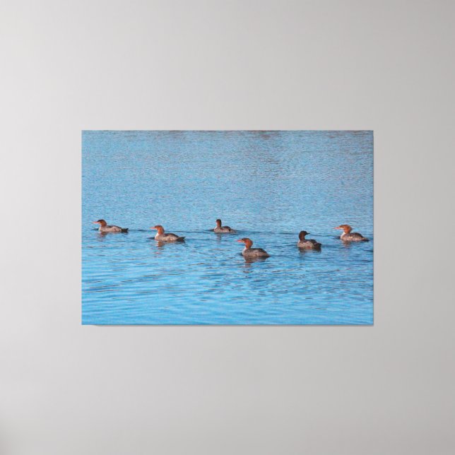 Ducks By Six Canvas Print (Front)